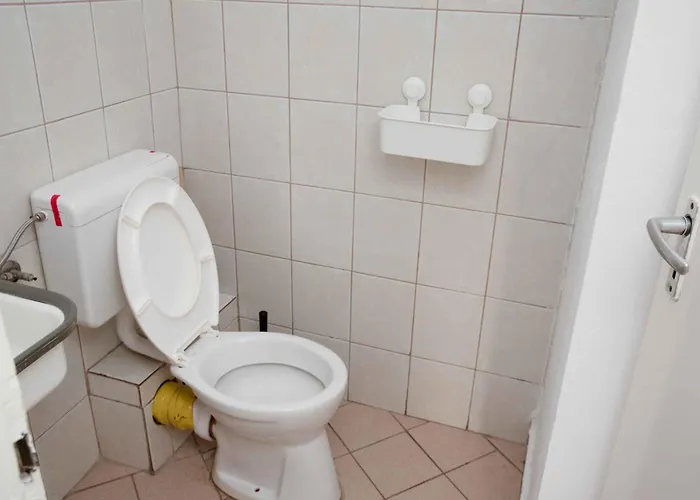 House Hostel *